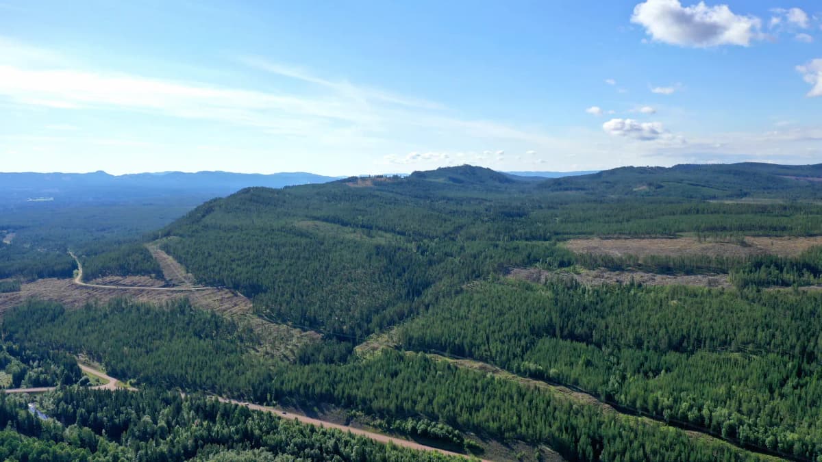 Professionell FTX-installation i Borlänge