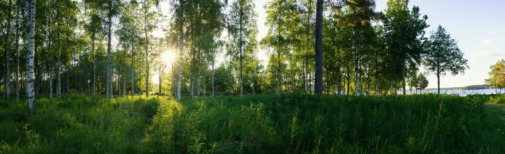 Experter på radonmätning i Borlänge